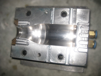 Plastic extrusion blow molding machine mold